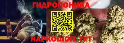 гидропоника Кинель