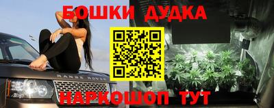 гидропоника Кинель