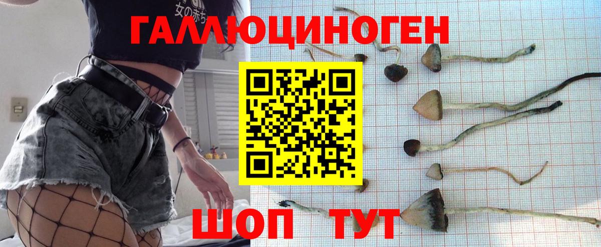 Псилоцибиновые грибы мухоморы  Псилоцибиновые грибы MAGIC MUSHROOMS  Красноармейск  Вход с VPN 